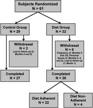 Обезжиренная растительная диета при рассеянном склерозе: рандомизированное контролируемое исследование