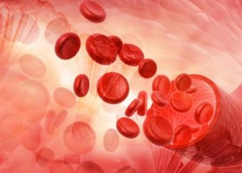 Факторы крови ухудшают метаболизм гематоэнцефалического барьера при РС