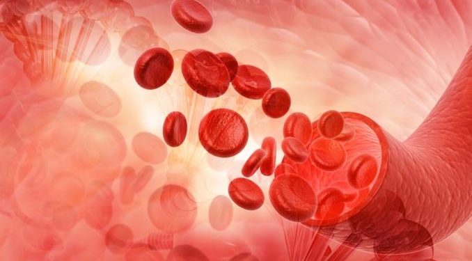 Факторы крови ухудшают метаболизм гематоэнцефалического барьера при РС 1 Факторы крови ухудшают метаболизм гематоэнцефалического барьера при РС