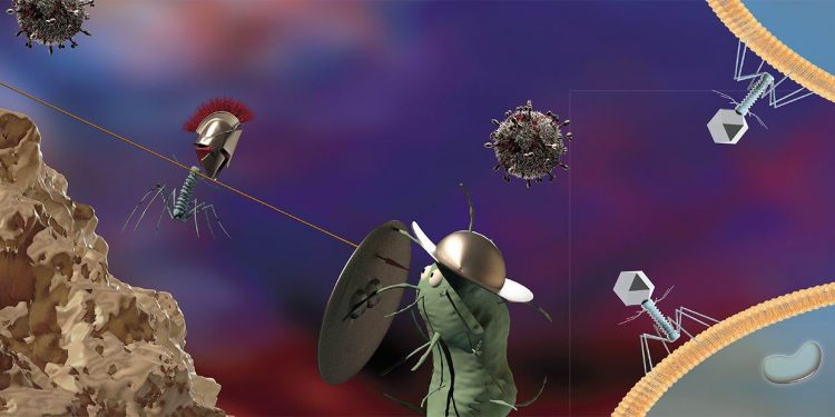 Вирусы и рассеянный склероз 1 Вирусы и рассеянный склероз