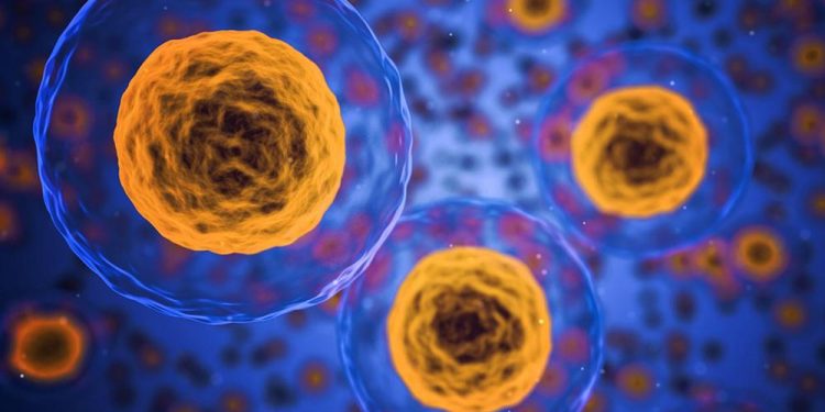 Иммунные В-клеточные подмножества коррелируют с прогрессией РС, результаты исследований