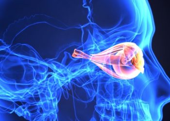 регенерации зрительного нерва