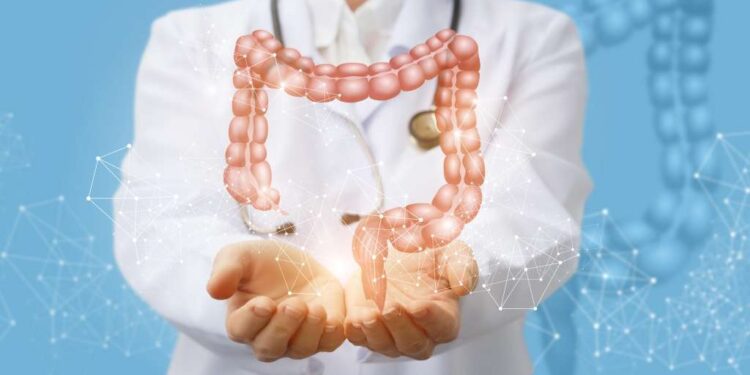 Поражения, впервые обнаруженные на нервах желудочно-кишечного тракта на мышиной модели рассеянного склероза