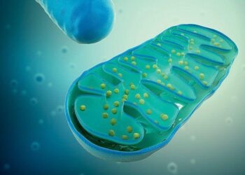 Рассеянный склероз теперь связан с дисфункцией митохондрий