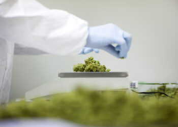 Каннабис теперь доступен для пациентов с РС в Техасе