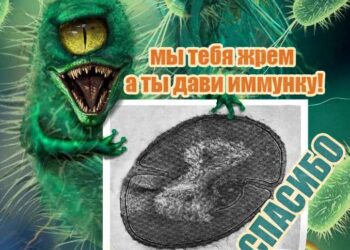 инфекция рассеянный склероз