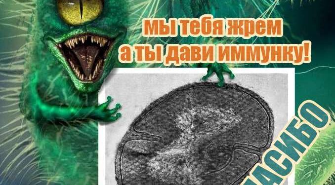 НОВОЕ ИССЛЕДОВАНИЕ ОБНАРУЖИВАЕТ БАКТЕРИАЛЬНЫЕ ОСТАТКИ В ПОРАЖЕНИЯХ ГОЛОВНОГО МОЗГА У ПАЦИЕНТОВ С РАССЕЯННЫМ СКЛЕРОЗОМ 1 инфекция рассеянный склероз