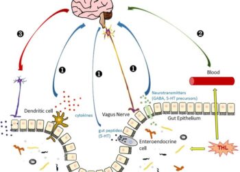 Прямой и непрямой механизм нейропротекции трегалозой