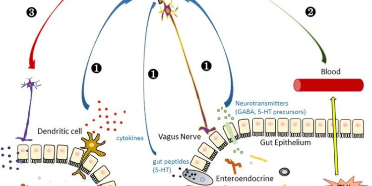 Прямой и непрямой механизм нейропротекции трегалозой