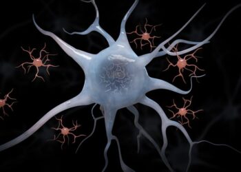 Исследование объясняет процесс, усугубляющий рассеянный склероз.