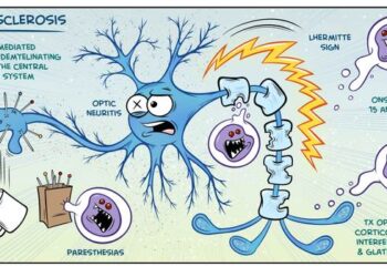 Рассеянный склероз обратная сторона иммунитета
