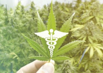 Почти половина опрошенных пациентов с рассеянным склерозом в США употребляют каннабис для лечения нервной боли и нарушения сна