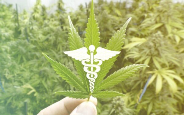 Почти половина опрошенных пациентов с рассеянным склерозом в США употребляют каннабис для лечения нервной боли и нарушения сна