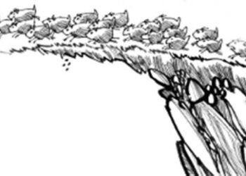 ГОНКА ИНГИБИТОРОВ БТК ПРОДОЛЖАЕТСЯ