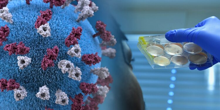 Вирусные инфекции у подростков связаны с более поздним началом рассеянного склероза 1 Окрелизумаб и ритуксимаб связаны с более тяжелым COVID-19 при рассеянном склерозе