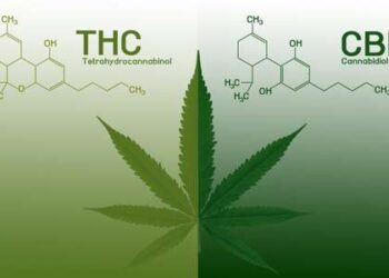 Комбинация каннабиноидов,ТГК и КБД облегчает экспериментальный рассеянный склероз за счет подавления нейровоспаления.