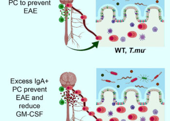 Исследование также поднимает вопросы о микробиоме и образе жизни людей с рассеянным склерозом