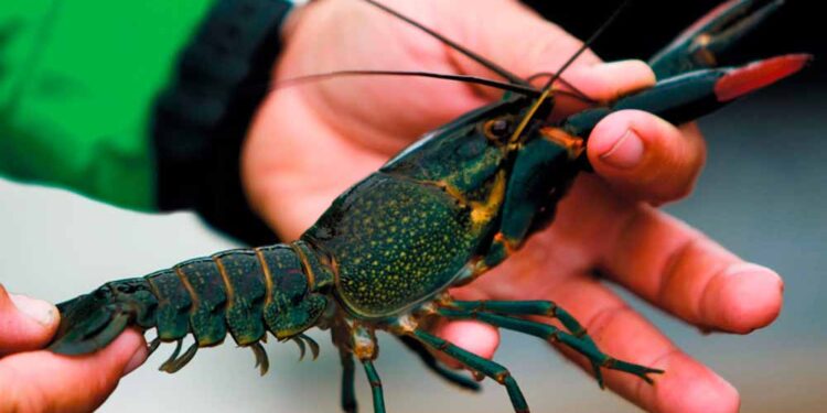 Исследование указывает на возможный риск ПИТРС для пациентов с РС старше 45 лет 1 Исследование указывает на возможный риск ПИТРС для пациентов с РС старше 45 лет