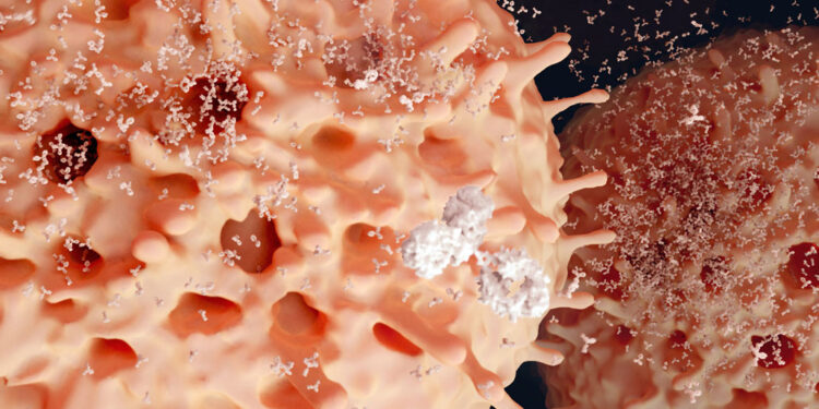 Защита мозга от инфекции может начинаться с кишечной реакции 1 Защита мозга от инфекции может начинаться с кишечной реакции