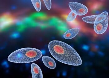 Исследование предполагает, что заражение паразитом Toxoplasma Gondii может защитить от РС