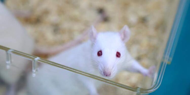 Исследование предполагает, что TEPP-46 может усугубить рассеянный склероз, а не лечить его 1 Исследование предполагает, что TEPP-46 может усугубить рассеянный склероз, а не лечить его