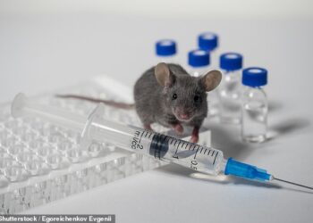 BioNTech разрабатывает потенциальную вакцину от рассеянного склероза