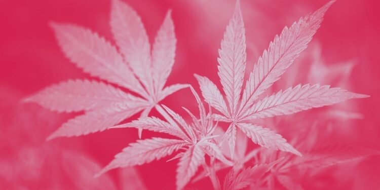 Каннабиноиды вызывают индуцированный апоптоз иммунных клеток как путь к иммуносупрессии