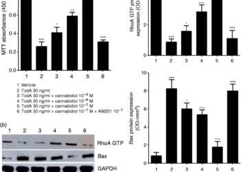 Каннабидиол восстанавливает дисфункцию кишечного барьера и подавляет апоптотический процесс, вызванный токсином A Clostridium difficile в клетках Caco-2.