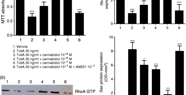 Каннабидиол восстанавливает дисфункцию кишечного барьера и подавляет апоптотический процесс, вызванный токсином A Clostridium difficile в клетках Caco-2.