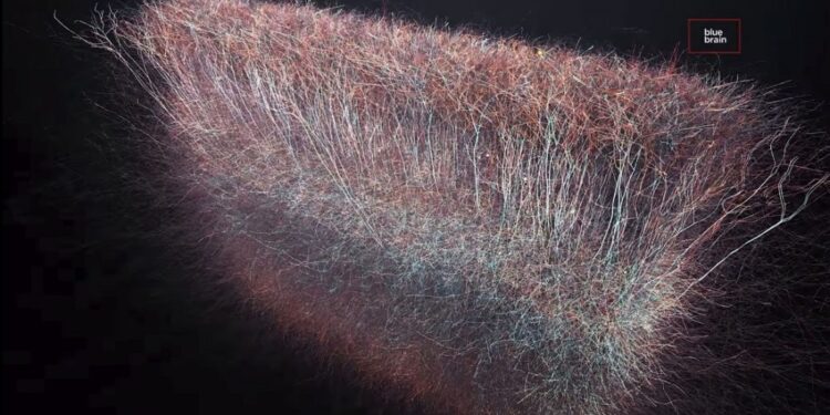 Холестерин, производимый нервными клетками, восстанавливает миелиновые повреждения у мышей 1 Человеческий мозг может создавать структуры до 11 измерений