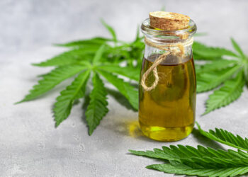 Каннабидиол подавляет патогенные Т-клетки, снижает активацию спинномозговой микроглии и облегчает заболевание, подобное рассеянному склерозу, у мышей