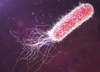 Рассеянный склероз может быть вызван токсином