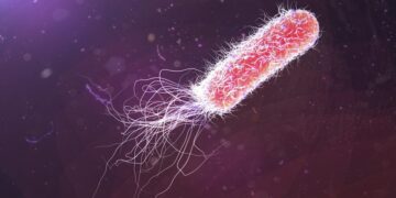 Рассеянный склероз может быть вызван токсином