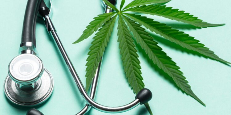 В чем разница между CBD и CBN? 1 В чем разница между CBD и CBN?