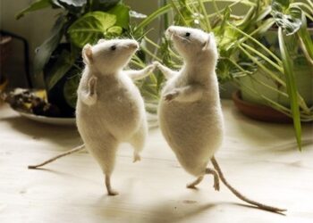 Противовирусный препарат ганцикловир — мощный ингибитор пролиферации микроглии и нейровоспаления.