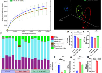 Комбинация каннабиноидов, дельта-9-тетрагидроканнабинола (THC) и каннабидиола (CBD) смягчает экспериментальный аутоиммунный энцефаломиелит (EAE) за счет изменения микробиома кишечника.