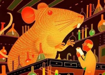 Эти результаты подтверждают, что наночастицы, нагруженные LIF, являются терапевтическим кандидатом для лечения рассеянного склероза.