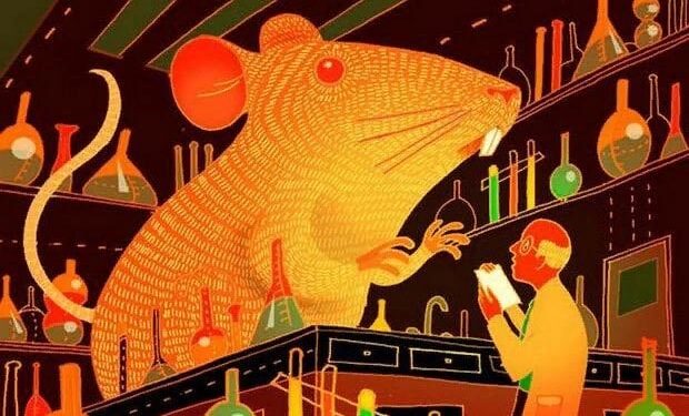 Эти результаты подтверждают, что наночастицы, нагруженные LIF, являются терапевтическим кандидатом для лечения рассеянного склероза.