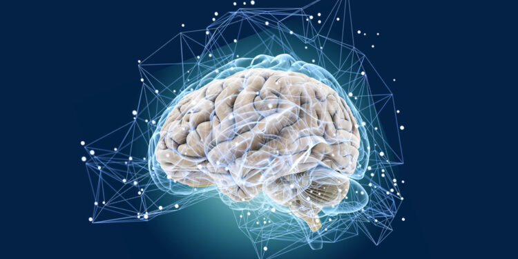 Воспалительные иммунные клетки обнаруживаются при активных, но не хронических поражениях головного мозга