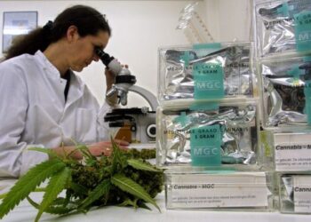 Набиксимолс каннабиноидный спрей для пациентов с устойчивой спастичностью рассеянного склероза: опыт Бельгии