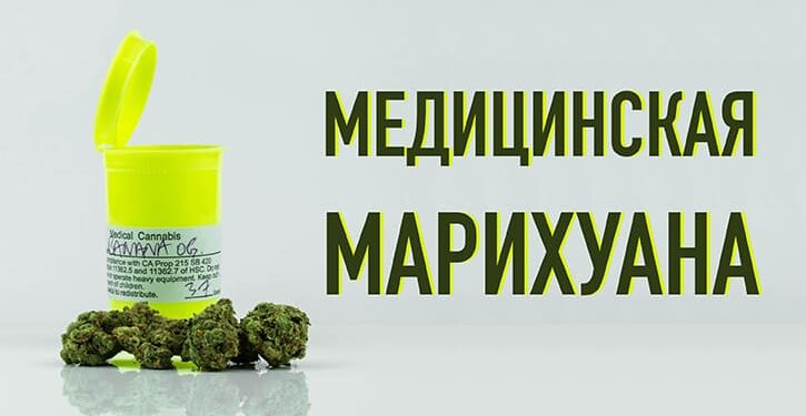 Медицинский каннабис в Греции будет продаваться под торговой маркой Panaxir 1 Медицинский каннабис в Греции будет продаваться под торговой маркой Panaxir