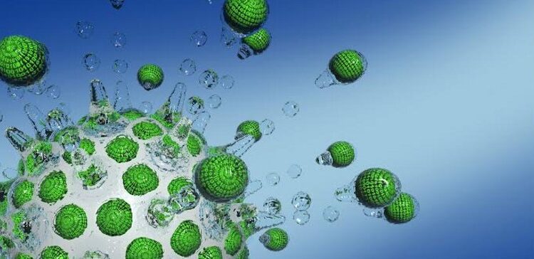 Ученые работают над более эффективным способом доставки CBD 1 Ученые работают над более эффективным способом доставки CBD