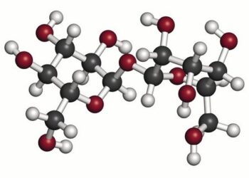 Трегалоза SLS-005 лекарство от БАС