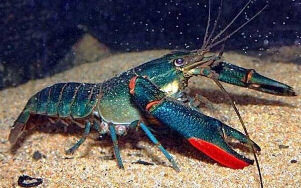 Связь между модифицирующими заболевание терапиями, назначаемыми людям с рассеянным склерозом и раком 1 Связь между модифицирующими заболевание терапиями, назначаемыми людям с рассеянным склерозом и раком