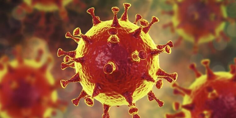 Даже при легкой инфекции COVID развивается защита от антител, которая может длиться всю жизнь 1 Даже при легкой инфекции COVID развивается защита от антител, которая может длиться всю жизнь