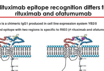Эксперты говорят, что ублитуксимаб вполне «обнадеживает» как потенциальное средство для лечения рассеянного склероза