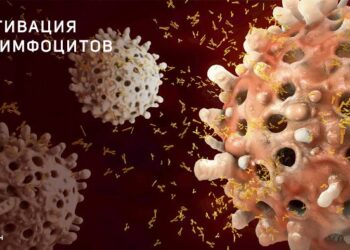 Abata открывает планы по разработке Т-клеточной терапии прогрессирующего РС