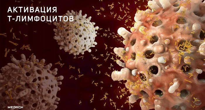Abata открывает планы по разработке Т-клеточной терапии прогрессирующего РС 1 Abata открывает планы по разработке Т-клеточной терапии прогрессирующего РС