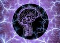 Рассеянный склероз: аутоиммунное заболевание или аутоиммунная реакция? 7 Рассеянный склероз: аутоиммунное заболевание или аутоиммунная реакция?