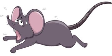 Индукция EAE протокол ведения Мышиная модель рассеянного склероза